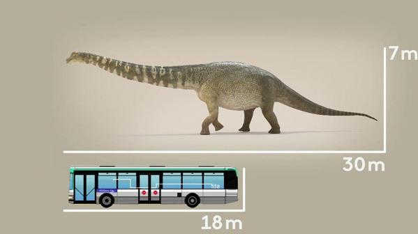 Australotitan